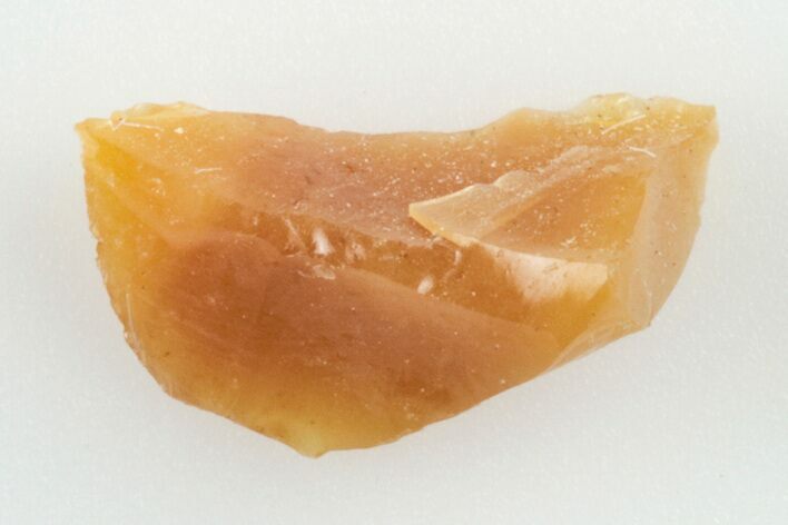 Kansas Amber (Jelinite) Specimen - George Jelinek Collection #201406